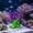 Purple, variant on Aquarium Coral Decoration Fish Tank Ornament, Realistic Reef Cave Hideout for Freshwater Saltwater Aquascape, Hollow Shelter Decor for Fish Shrimp Turtle Breeding Habitat and Underwater Scenery