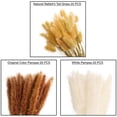 thumbnail image 5 of 80 piezas Hierba de pampas seca 17 pulgadas Decoración de hierba de pampas Hierba de pampas Decoración Boho Flores secas de hierba de pampas alta, 5 of 5