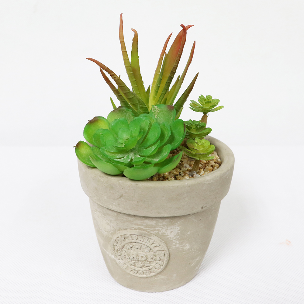 Puleo International 5 in. Indoor Artificial Succulents in Pot