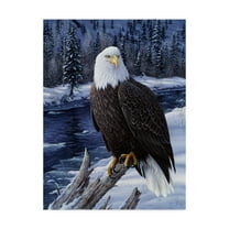 Trademark Fine Art 'River Watch' Canvas Art by Jeff Tift
