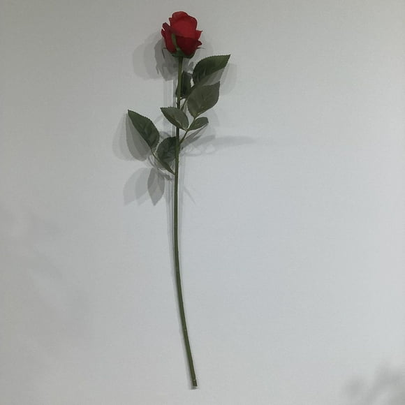 BOUTON DE ROSE ROUGE