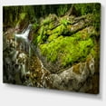 thumbnail image 2 of Creek Moss and Rocks Panorama - Landscape Canvas Art Print, 2 of 4