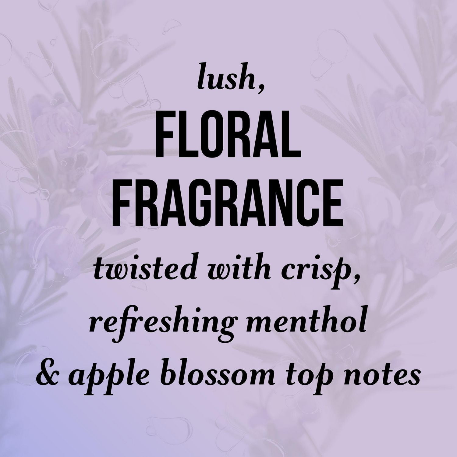 PANTENE Rosemary NUTRIENT BLENDS Rejuvenating Scalp Rinse, 5.8 fl oz/173 mL