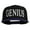Black Purple, variant on Genius Embroidered Two Toned Snapback Cap - Black Silver OSFM
