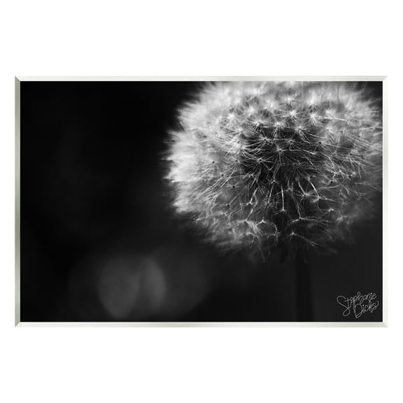 Stupell Modern Black Dandelion Photography Botanical & Floral Photography Wall Plaque Unframed Art Print Wall Art