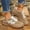 Brown, variant on Norvail Womens Flat Breathable Mesh Lightweight Casual Soft-Soled Shoes – Breathable Mesh Walking Shoes with Cushioned Insole, Flexible Non-Slip Outsole for Everyday Wear Travel and Commute