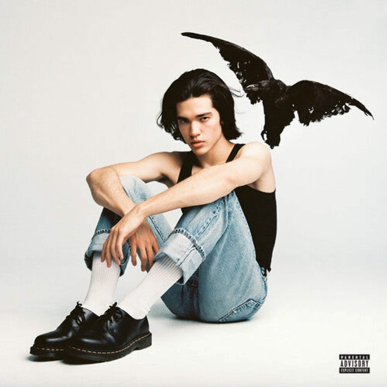 Republic Records, Vinyl LP, Kid Krow, Conan Gray, Debut Album