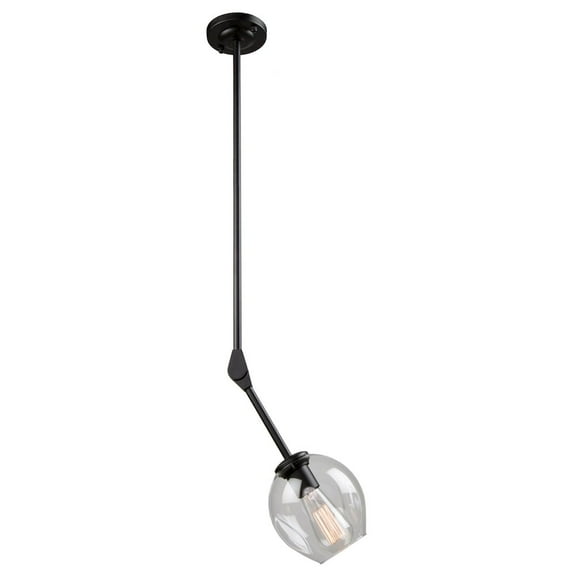 Artcraft Lighting Organic JA14020BK Pendant