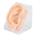 thumbnail image 2 of Modelo de oreja de práctica, modelo de oreja de silicona suave, modelo de oreja de exhibición, modelo de oreja de silicona, diseño elevado, 2 of 8
