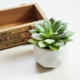 thumbnail image 3 of Succulentes en Pot Simulées avec Pot de Fleurs Mini Différentes Succulentes Artificielles Plante en Pot pour la Maison, 3 of 8