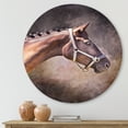 thumbnail image 2 of Designart 'Close Up Portrait Of Brown Horse' Farmhouse Circle Metal Wall Art 11x11 - Disc of 11, 2 of 5