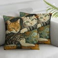 thumbnail image 3 of nygtbtfer Cat Throw Pillow Case, Set of 2, Gifts for Cat Lover, Funny Cat Pillow, Children Room Decoration, Cat Owners Gifts, Cat Theme Room Decor, Cushion Cover for Sofa Couch Bed 12x12in, 3 of 7