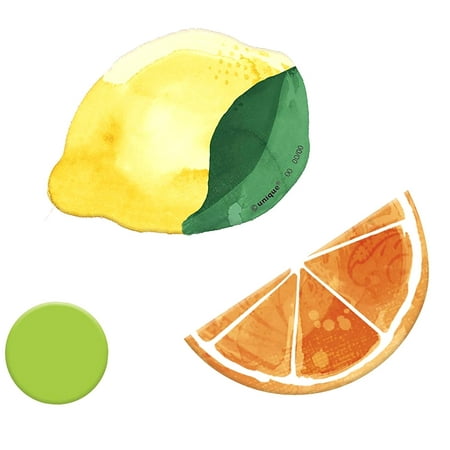 SKYSONIC Multicolor Citrus Fruit Tissue Paper Fans (Pack of 3) - 11.75" x 11.75" x 0.75" | Vibrant Design, Perfect Party Decorations for Summer Parties, Events, & Tropical Themed Celebrations