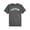 Grey - greengrey, variant on LRG Mens Heathered Graphic T-Shirt, Grey, Small