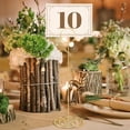 thumbnail image 5 of Soportes para NúMeros de Mesa 10 Piezas - Soporte Tarjetas Lugar 8.75 Pulgadas Altos RecepcióN GraduacióN Banquete Boda, 5 of 5
