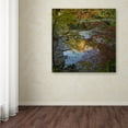thumbnail image 4 of Trademark Fine Art "Why I Love Autumn 3" Canvas Art by Kurt Shaffer, 4 of 4
