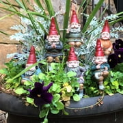 Homestyles Classic Old World Garden Gnome 6"H Shelf Sitter Assortment (1 each of 6 Styles) with Removable 8" Metal Garden Stake