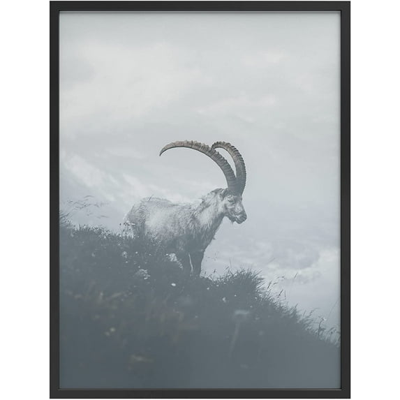 PixonSign Framed Wall Art Print Long Horned Ram on Mountain Cliff Animals Wilderness Photography Realism Modern Portrait Relax/Calm Blue Duotone for Living Room, Bedroom, Office - 12"x16" BLACK