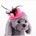 thumbnail image 2 of Gorra de béisbol para perros transpirable Sombrero para mass Viajes al , Senderismo, Caminar - , otros 13x5cm rosado Colco Sombrero del gato del perro del animal doméstico, 2 of 8
