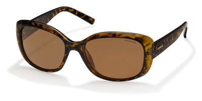 Polaroid Sunglasses 4013/S V08 HE Havana Copper Polarized 