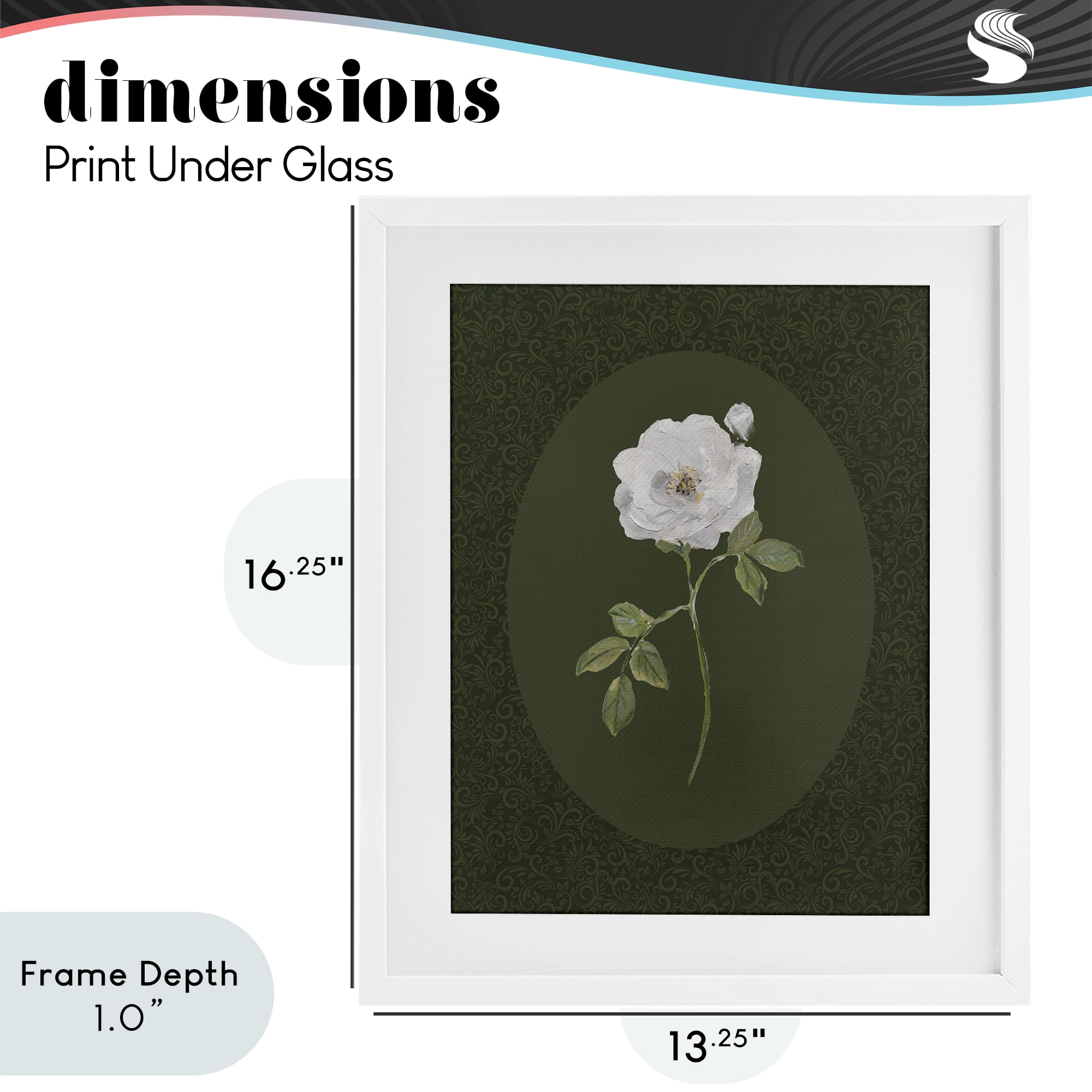 Stupell Industries Emerald & White Oval Rose White Framed Print Under Glass, design by Sally Swatland