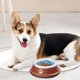 thumbnail image 5 of Almohadilla para mascotas de silicona, cuenco para mascotas, almohadilla para perros, almohadilla desmontable, adecuada para perros y gatos, para comida rápida., 5 of 6