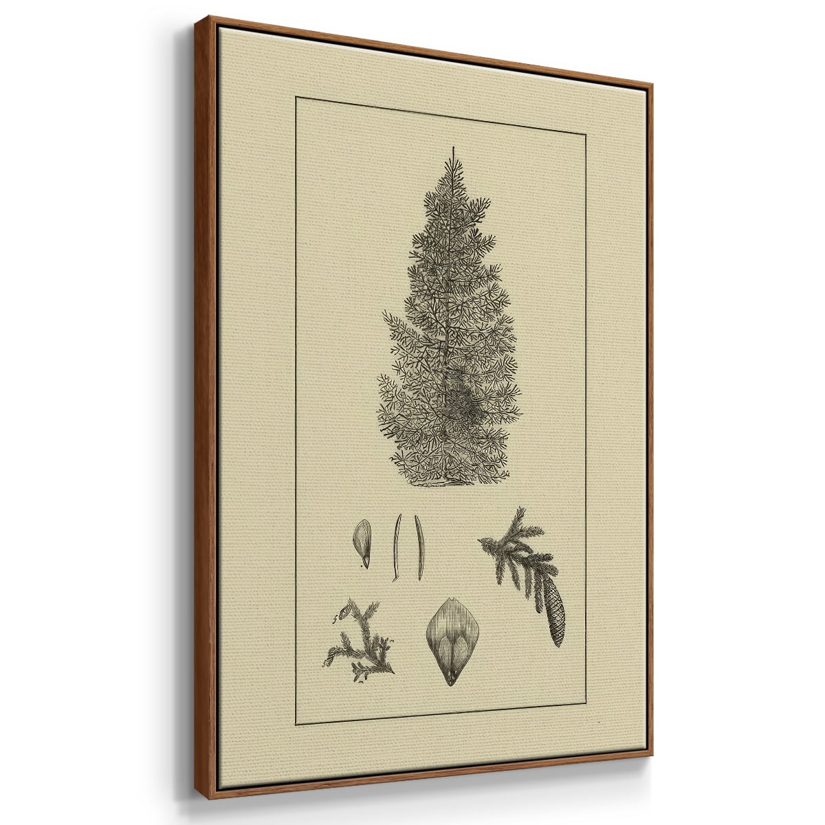 Arbor Study I - Framed Gallery Wrapped Holiday Canvas - 25 x 37 - Rosewood Frame
