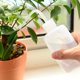 thumbnail image 1 of 150mL jardín plantas suculentas cuentagotas botella de riego hervidor de Alcohol Wdftyju Libre de BPA, 1 of 3