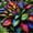 D, variant on Variegated Butterfly Hostas Flowers Planting Mix-Iridescence-Beautiful-Rainbow Hostas Garden-Quick Sprouting-(Non-Artificial)