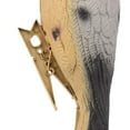 thumbnail image 4 of Jouet 3D Chasse aux Oiseaux Jardin - Coloré, 4 of 6