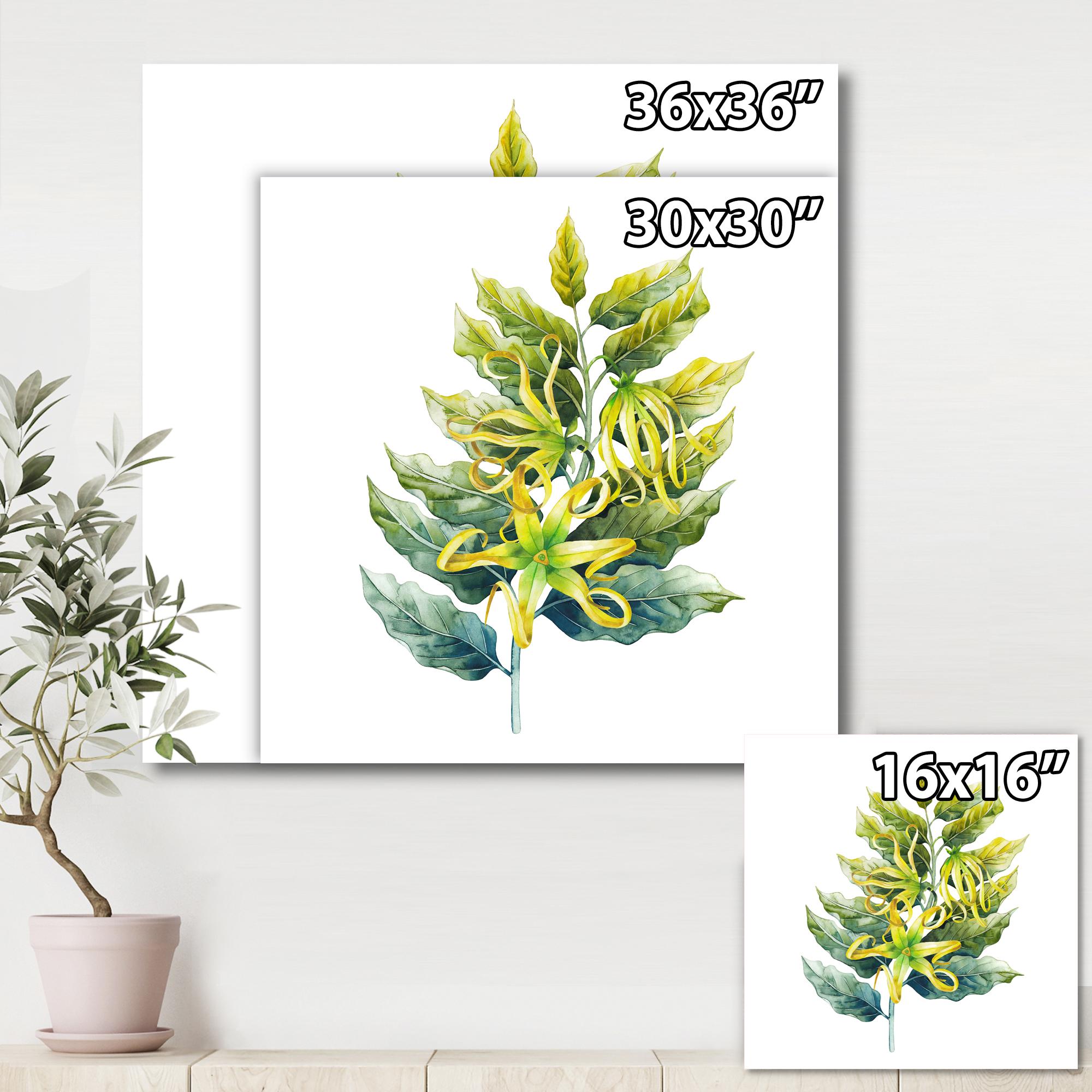 Designart ' Ylang Ylang Flower On White ' Traditional Canvas Wall Art Print
