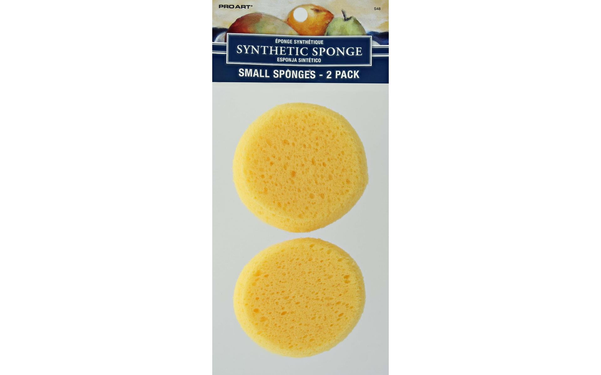 Pro Art Sponge Synthetic 2pc