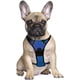 thumbnail image 2 of Pechera / Arnes Para Perros Que No Lastima. Talla Mediana, 2 of 8