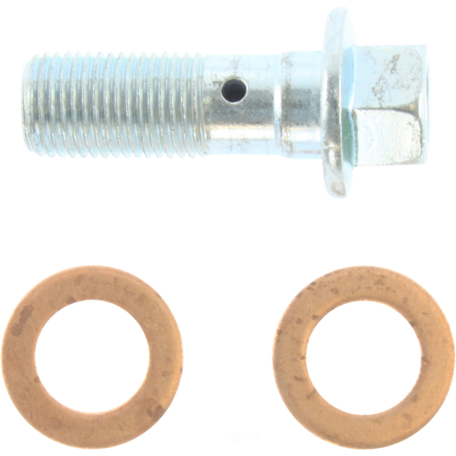 Centric Parts 142.66502 Centric Posi-Quiet Loaded Disc Brake Calipers