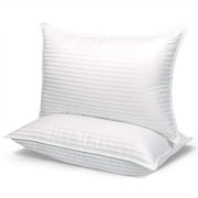 COZSINOOR Queen Size Bed Pillow Set of 2, Plush Fiber Premium Cozy Soft Fluffy Pillows（29×18）