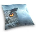 thumbnail image 3 of Angry Owl at Halloween Velvet Plush Throw Pillow Cushion Case Cover - 20" x 20" - Invisible Zipper Home Decor Floral for Couch Sofa No Insert, 3 of 5