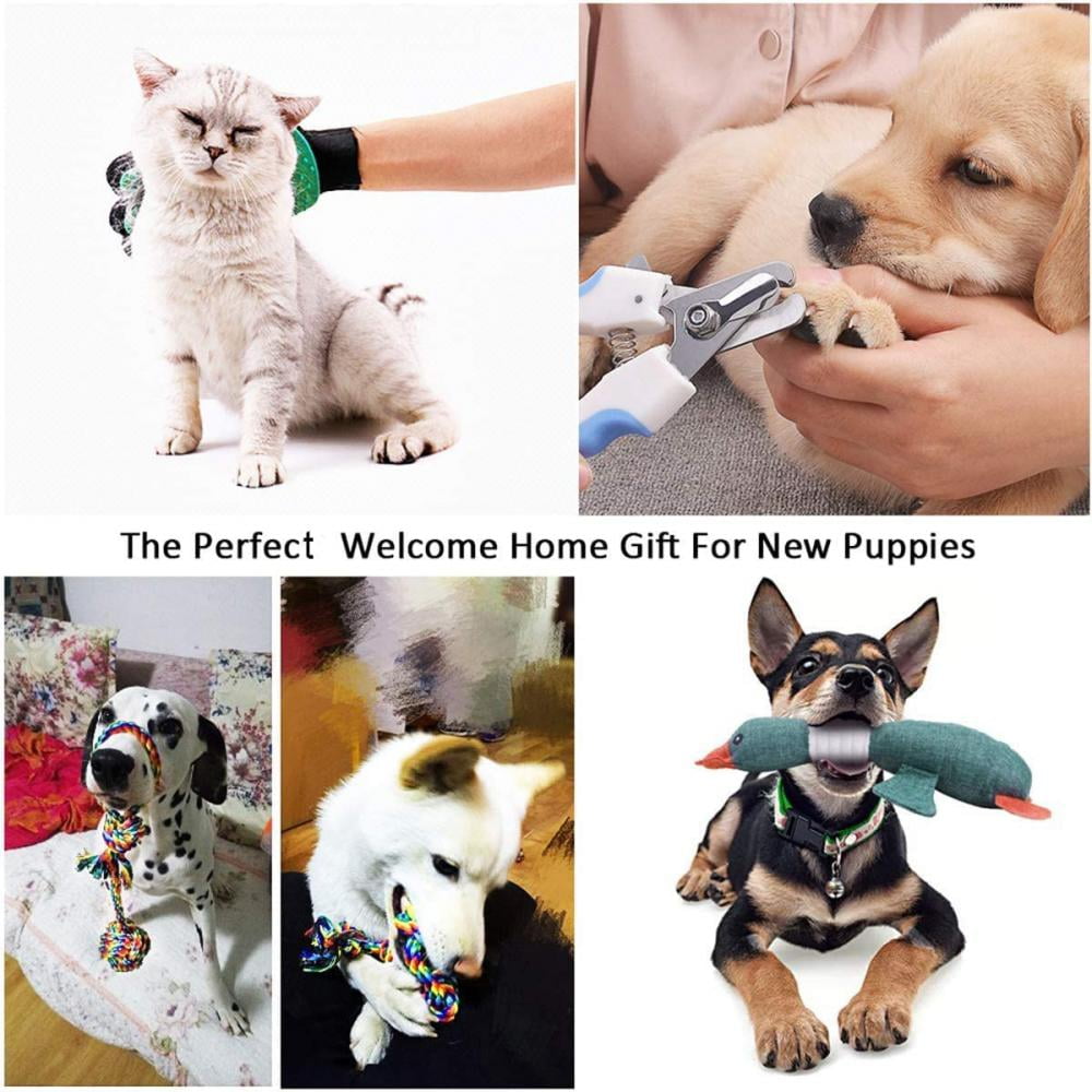 22 Best Beds, Leashes, Toys, Treats for New Dog Owners 2021