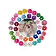 thumbnail image 1 of 5 Random Color Flower Decor Pet Hair Ties For Cats And Dogs, 1 of 5