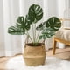 thumbnail image 2 of Planta tropical artificial 59cm Decoración de plantas falsas verdes TUNC Sencillez, 2 of 5