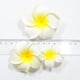 thumbnail image 4 of Colección de flores de plumeria artificial: conjunto de 80 piezas para ocasiones especiales 6 piezas, 4 of 8