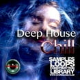 thumbnail image 2 of DEEP HOUSE MEGA Bundle Part 2 - 10 Large Essential WAVE Samples/Loop Studio Libraries. Download only!, 2 of 13
