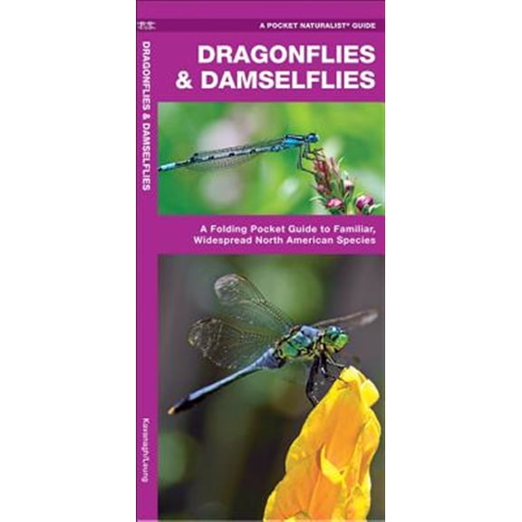Pre-Owned Wildlife and Nature Identification: Dragonflies & Damselflies : A Folding Pocket Guide to Familiar, Widespread North American Species (Other)