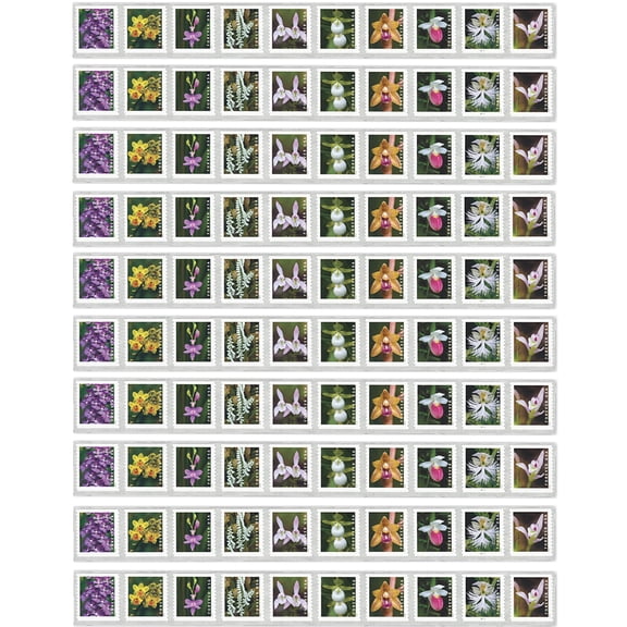 Wild Orchids USPS Forever Postage Stamp Strip of 100 US First Class Postal Flower Birthday Anniversary Wedding Celebration (100 Stamps)