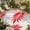 Red, variant on Sage Green Leaves Outdoor Rug for Patio/Deck/Porch, Non-Slip Large Area Rug 5 x 8 Ft, Abstract Modern Geometric Lines Simple Art Indoor Outdoor Rugs Washable Area Rugs, Camping Rug Carpet Runner