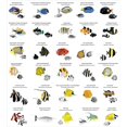 thumbnail image 3 of Ocean Duvet Cover Set, Illustration of Different Fish Species Underwater Aquatic Picture, Decorative 3 Piece Bedding Set with 2 Pillow Shams, Queen Size, Yellow Blue Black, by Ambesonne, 3 of 3