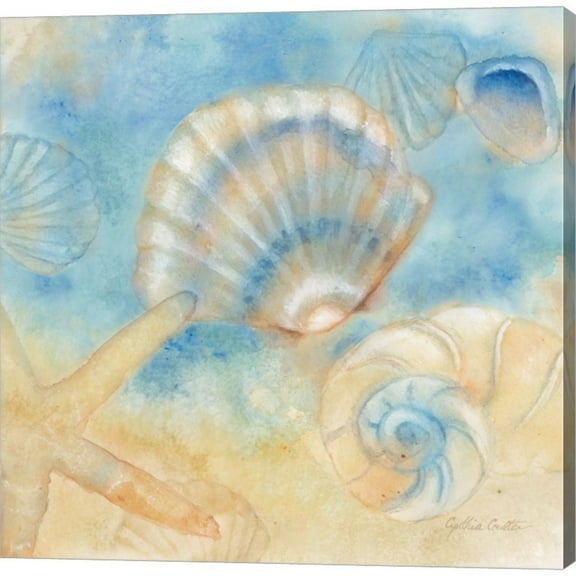 Cynthia Coulter 'Watercolor Shells II' Canvas Art