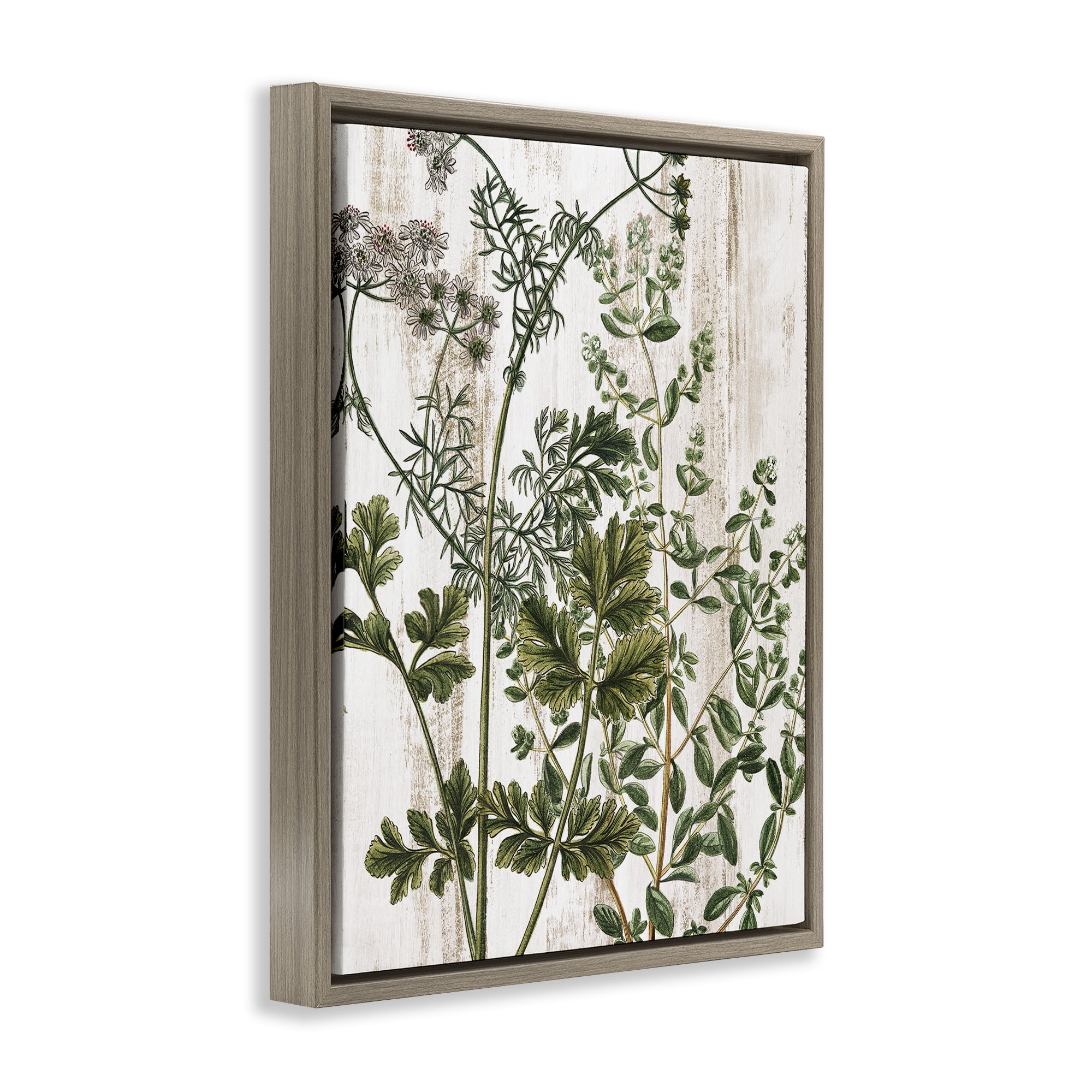 Stupell Industries Botanical Greenery Pattern Botanical & Floral Painting Brown Floater Framed Art Print Wall Art, 25 x 31