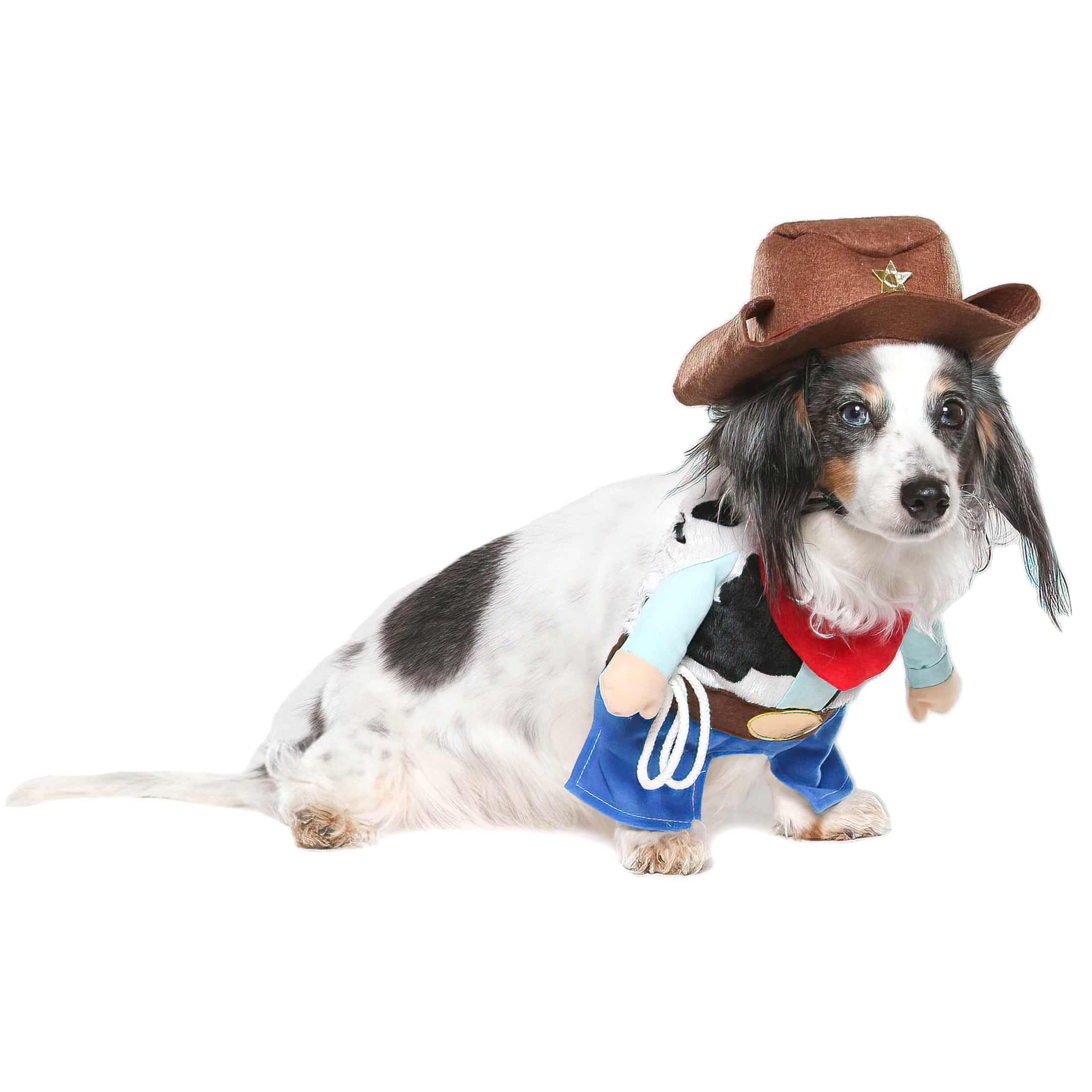 5 Dog Cowboy Costume Options Perfect For Halloween - DodoWell - The Dodo