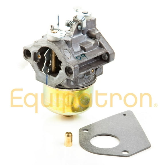 Genuine Briggs & Stratton 495784 Carburetor Replaces # 494881