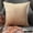 Beige, variant on The HomeCentric Decorative Blue Pack of 2, 16"x16" (40x40 cm) Throw Pillow Covers, Velvet Double Side, Faux Leather Puller Throw Pillows For Sofa, Solid Color Modern Style - Velvet Blue Jules